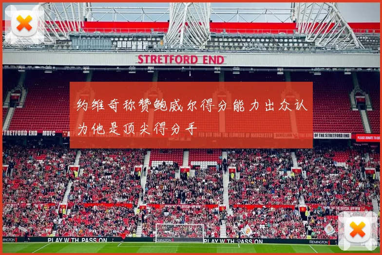 约维奇称赞鲍威尔得分能力出众认为他是顶尖得分手
