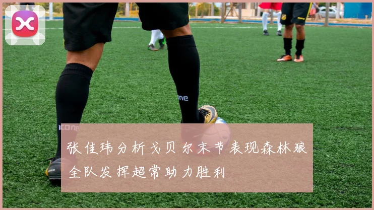 张佳玮分析戈贝尔末节表现森林狼全队发挥超常助力胜利